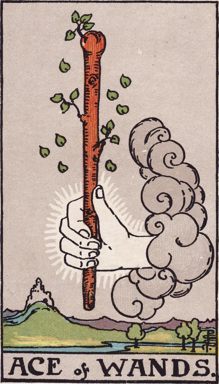 权杖王牌 Ace of Wands