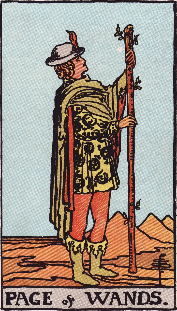 权杖侍从 Page of Wands
